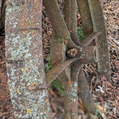 Iron Wagon Wheel