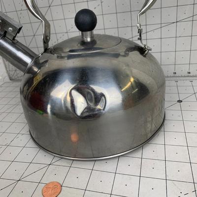 #100 Stainless Steel Tea Kettle