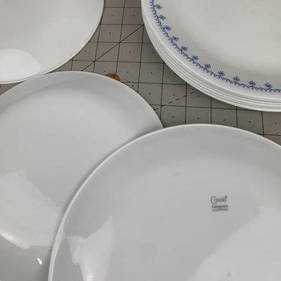 #342 Corelle Blue/White Plates