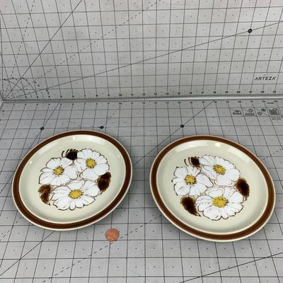 #349 National Silver Lotus Blossum Stoneware Japan Plates