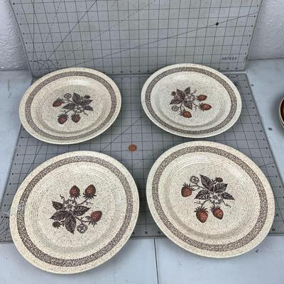 #350 Stoneware Strawberry Homer Laughlin Plates