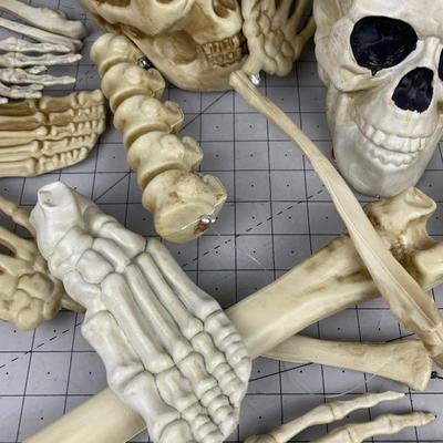#392 Yard Bones Skeleton