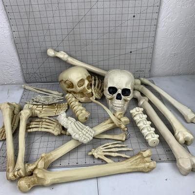 #392 Yard Bones Skeleton