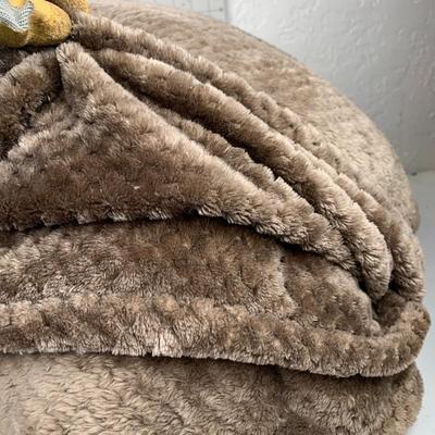 #451 Blue and Brown Blanket