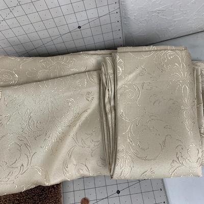 #470 Bathroom Rug and Curtains