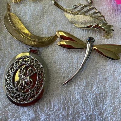 Lot of Pins/ Brooches