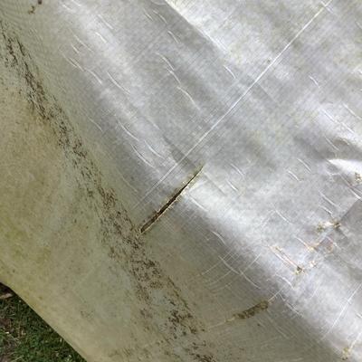 1075 White Greenhouse 3' x 3'