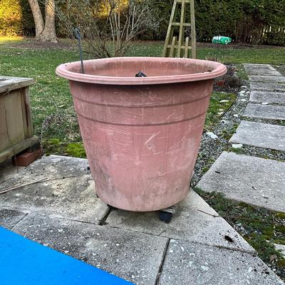 1127 Large Plastic Planter on Dolly