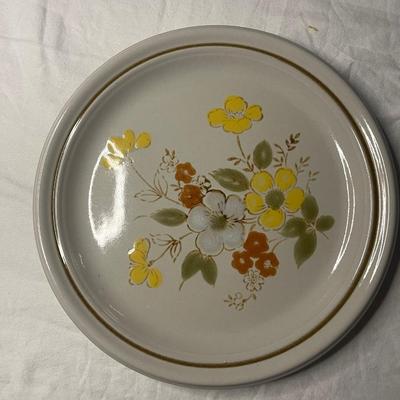 Vintage stoneware dinner plates