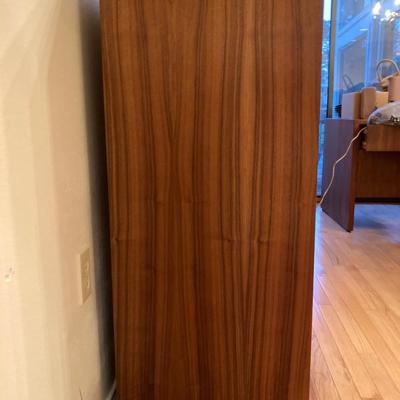 Wood Laminate Stereo Cabinet with glass doors