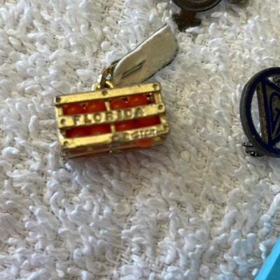 Sterling Pins & Charms