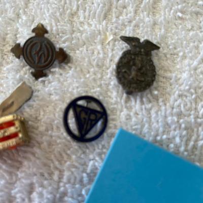 Sterling Pins & Charms