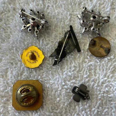 Lot of Franternal Pins