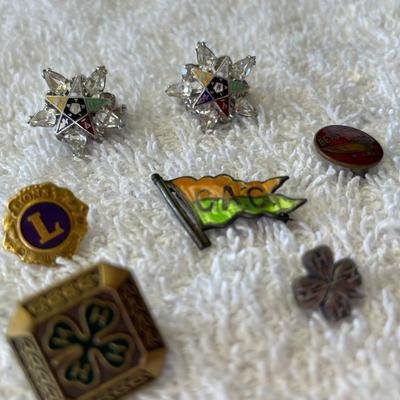 Lot of Franternal Pins