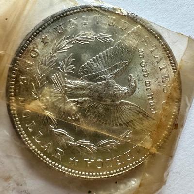 Morgan Silver Dollar Lot