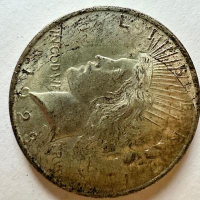 Morgan Silver Dollar Lot
