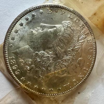 Morgan Silver Dollar Lot