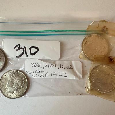 Morgan Silver Dollar Lot
