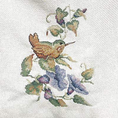 2 Completed Hand Stitched Cross Stitch Squares