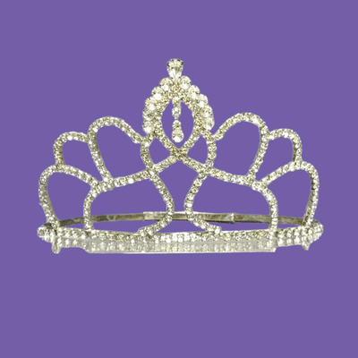 Authentic Beauty Pageant Sash & Crown #1
