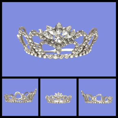 Authentic Beauty Pageant Sash & Crown #2
