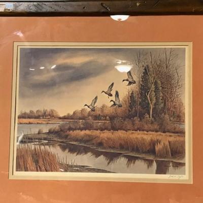 framed and signed duck print by John W Taylor