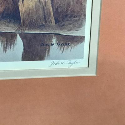 framed and signed duck print by John W Taylor
