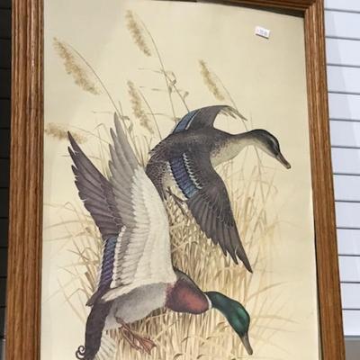 Framed duck print