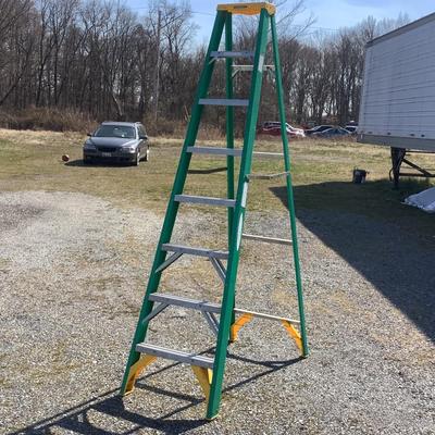 195 Werner Fiberglass 8-ft Step Ladder