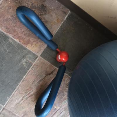 exercise ball and thigh master