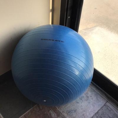 exercise ball and thigh master
