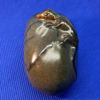 SALAMANDER ON ROCK PAPERWEIGHT