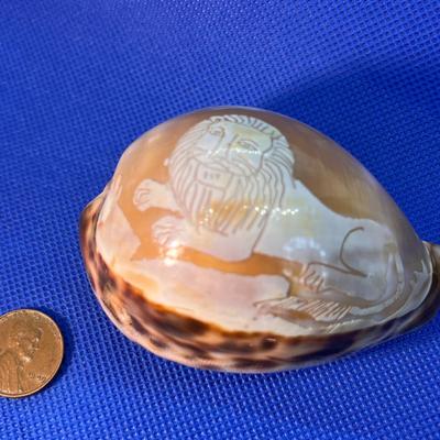 CARVED ETCHED LION SEASHELL