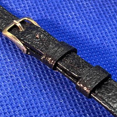 LADIES WATCHBAND WATER BISON by HAMILTON