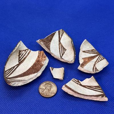SOUTHWEST INDIAN LOOK POTTERY SHARDS