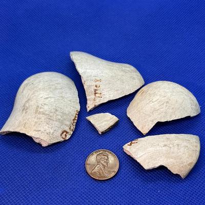 SOUTHWEST INDIAN LOOK POTTERY SHARDS