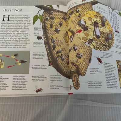 2002 THE ULTIMATE HOW IT WORKS ENCYCLOPEDIA