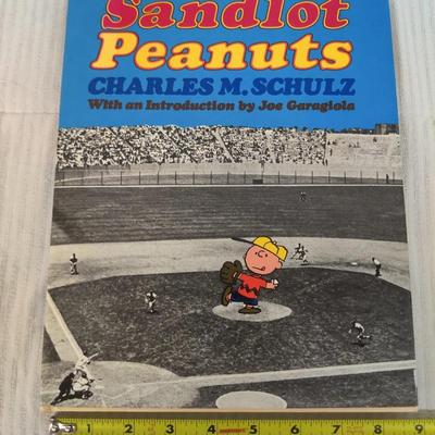 HARDBACK PEANUTS COMIC BOOKS BUNDLE
