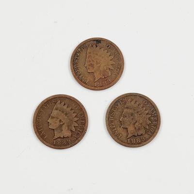 3 - 1889 INDIAN HEAD PENNIES