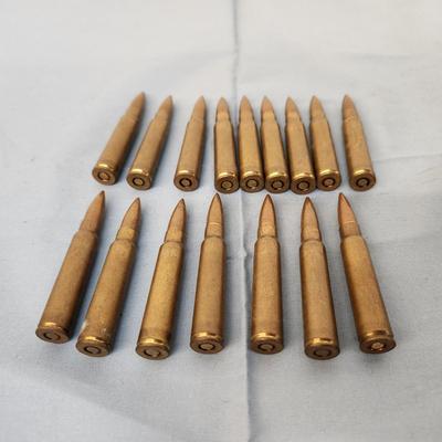 16 - 7.62 NATO FN AMMUNITION