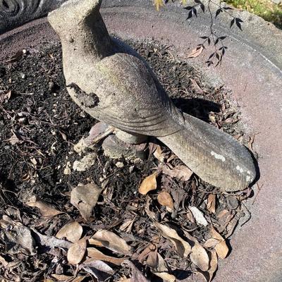 Bird bath