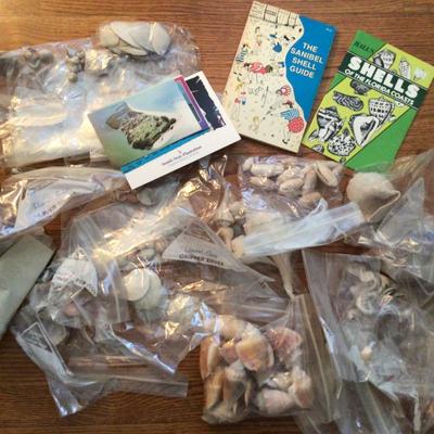 1648 Shell Collection with Guide Books