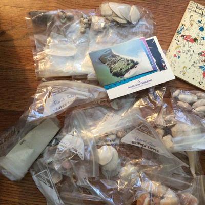 1648 Shell Collection with Guide Books