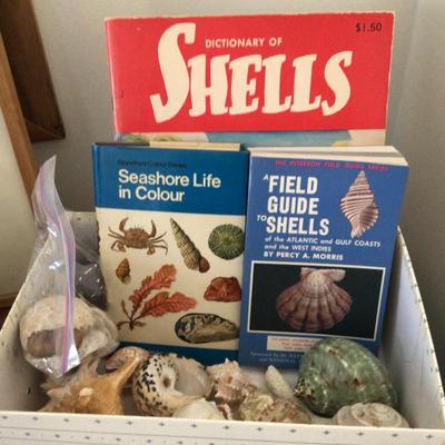 1647 Nautical Treasures Lot