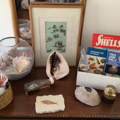 1647 Nautical Treasures Lot