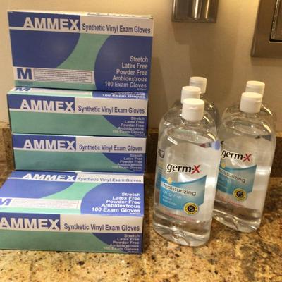 1623 Hand Sanitizer & Disposable Gloves