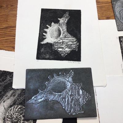 1607 Nautilus & Conch Metal Printing Lot
