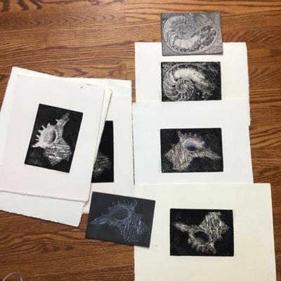 1607 Nautilus & Conch Metal Printing Lot