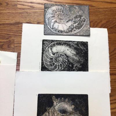 1607 Nautilus & Conch Metal Printing Lot