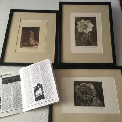1006 Anne Marie Santiago Framed Art Lot